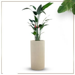 حوض اسمنتي اسطواني بيج